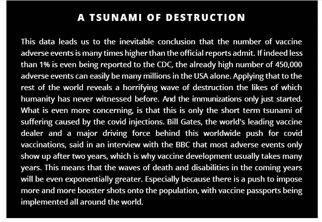 A Tsunami of Destruction