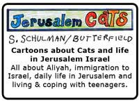 http://jerusalemcats.com Jerusalem Cats; All about Cats and life in Jerusalem Israel