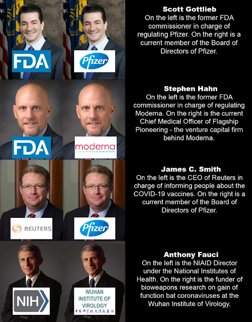 FDA-Pfizer, Big Corporations and Big Government Go Hand in Hand