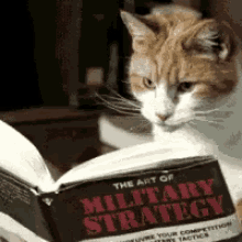 All Israeli Cats are required to take IDF Officers Military Training