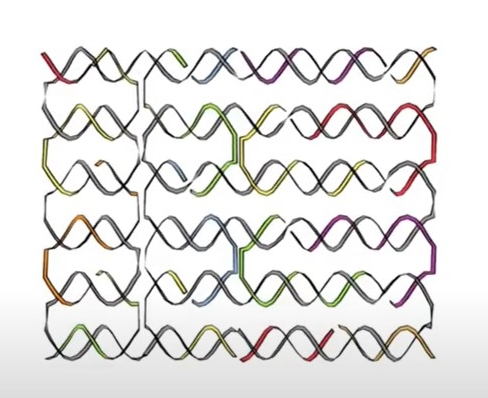 Pfizer mRNA Covid-19 vaccine graphene oxide DNA nanobot-DNA-circuit-shape