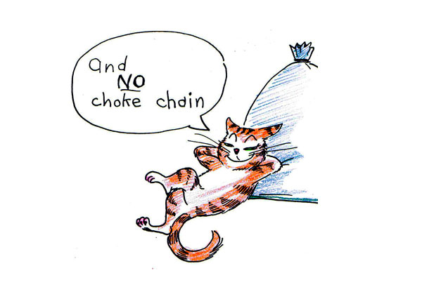 Cat: "And NO choke chain."