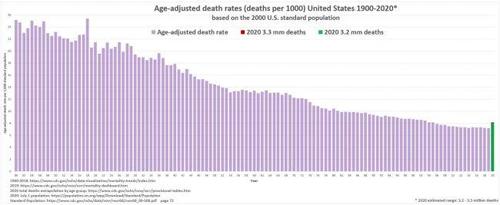US mortality 1900-2020 age adjusted