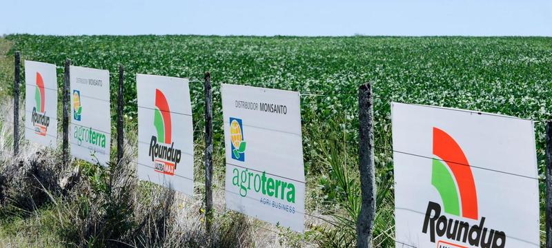 Monsanto Roundup sign near crops