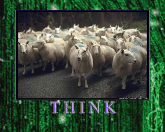 sheeple, Think!