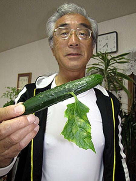 Fukushima Mutant Cucumber1