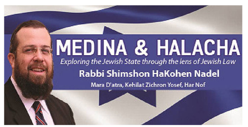 Medina & Halacha - Exploring the Jewish State through the lens of Jewish Law by Rabbi Shimshon HaKohen Nadel
