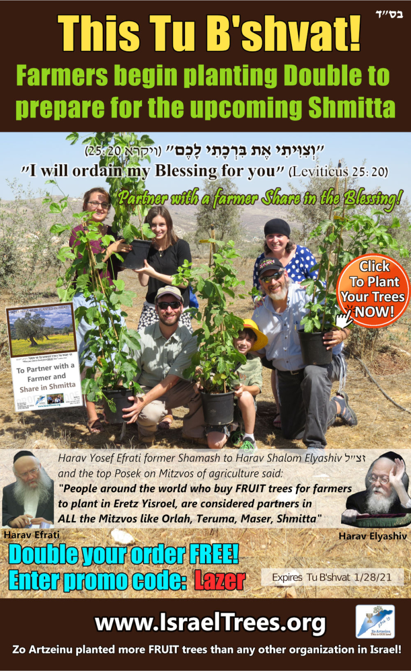 Tu B-shvat-opportunity to plant fruit trees in the Land of Israel.