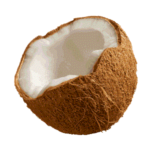 coconut-spinning