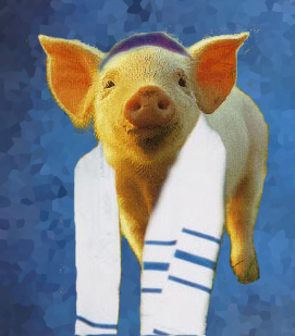 pig-rabbi