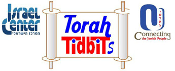 torah tidbits