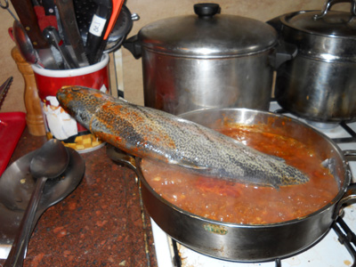 How to Cook a Frozen Fish - 03 Put the fish tail in the pot then the head to defrost it.