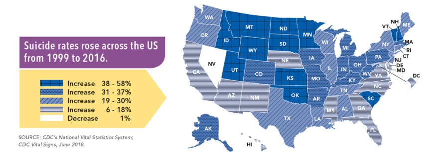 US Suicide rate by State infographic: Suicide rates rose across the US from 1999 to 2016.