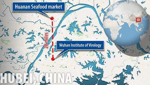 The Wuhan National Biosafety Laboratory is located only 20 miles away from the Huanan Seafood Market which is the epicenter of the Coronavirus outbreak dubbed the Wuhan Coronavirus.