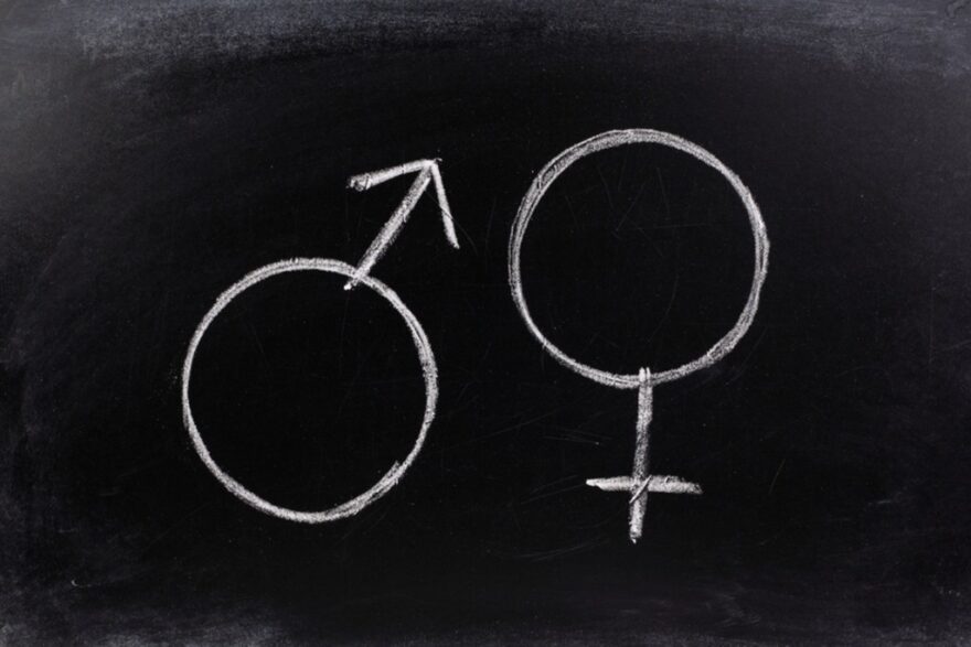 7 harsh realities=Gender Studies Minor