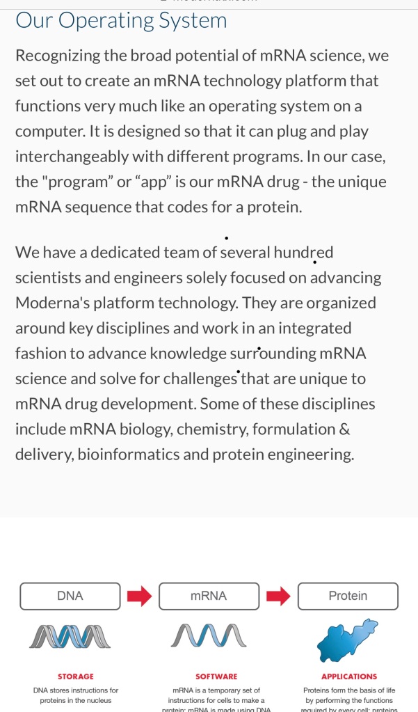 Moderna explained basic structure of the mRNA technology