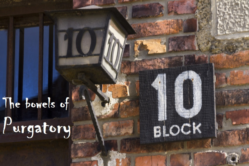 Block 10 was the medical experimentation block in Auschwitz. German doctors, most of whom also participated in selections applied for permission to come work in Block 10 at Auschwitz with human subjects