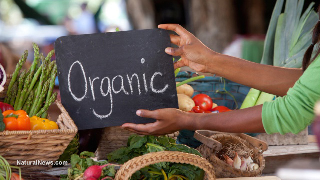 Farmers Market-Organic Produce Veggies And Fruits