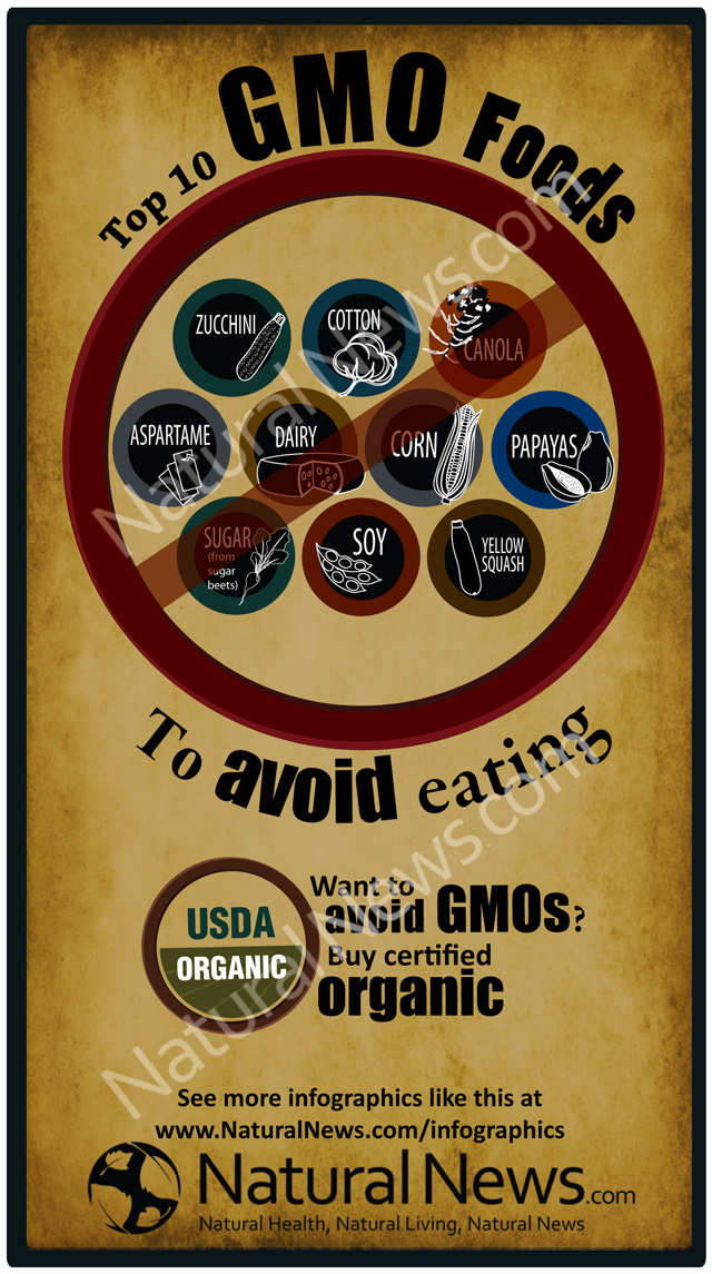 Infographic-Top 10 GMO Foods to Avoid Eating-v2