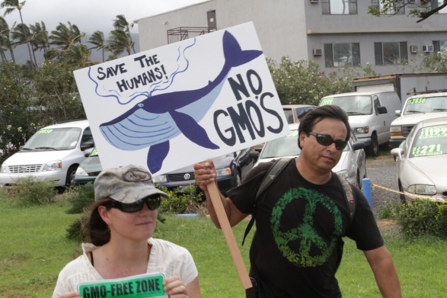 KAHULUI, HAWAII – March Against Monsanto protestors hold up a sign as they march down the main road in protest of Monsanto’s GMO foods. (Photo: Shepard Ambellas/Intellihub.com)