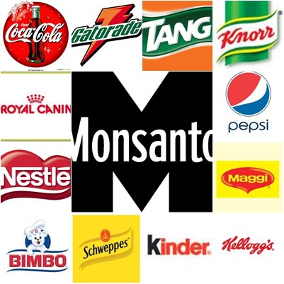 Monsanto in Everything GMO