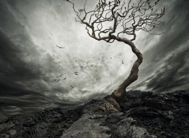 Wild Tree - Dark Age