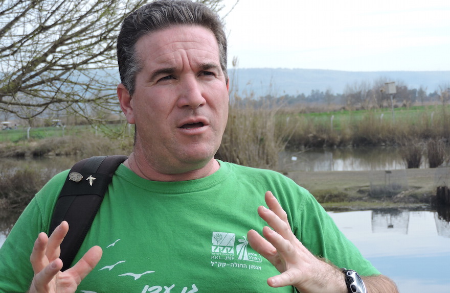 Shai Agmon is director of the Hula Valley Avian Research Center for Keren Kayemeth L’Yisrael-Jewish National Fund, which manages the valley’s birdwatching park. (Ben Sales/JTA)