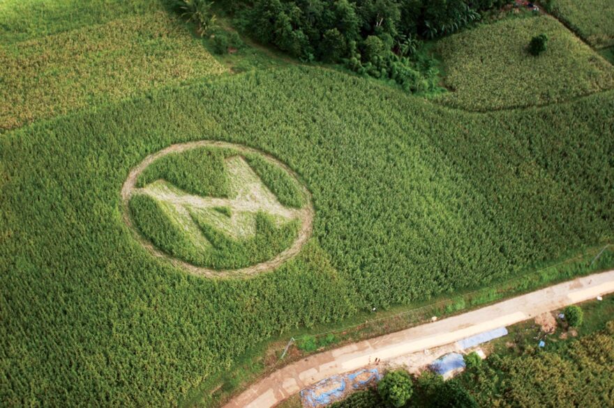 No thanks: An anti-Monsanto crop circle made by farmers and volunteers in the Philippines.BY MELVYN CALDERON/GREENPEACE HO/A.P. IMAGES.