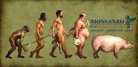 The Monsanto evolutionary climb of Man