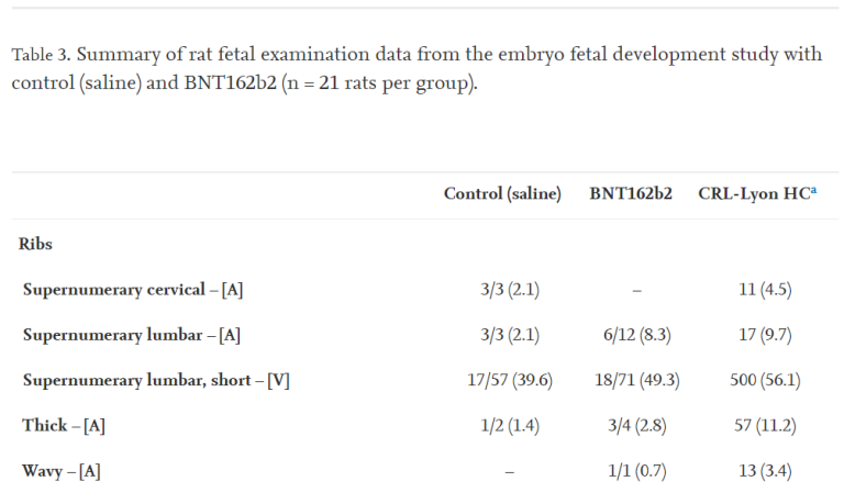 Confidential Pfizer Documents Table 3 Summary of rat fetal examination data