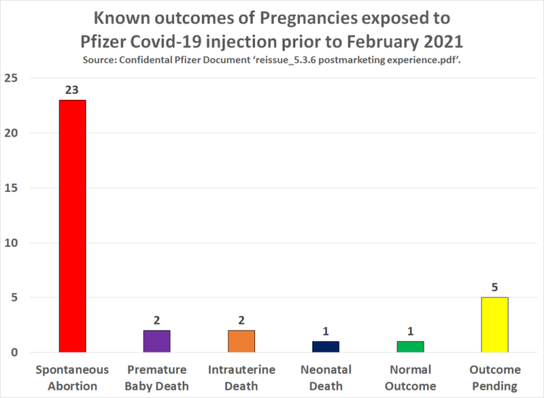 Confidential Pfizer Documents known outcomes of the pregnancies