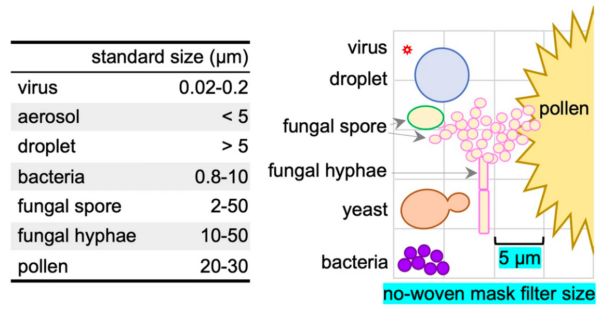 Graph from Scientific Report listing the size of microbes and particles (left) compared with the pore size (5 µm) of the middle filter of non-woven masks (right). (Screenshot via The Epoch Times)