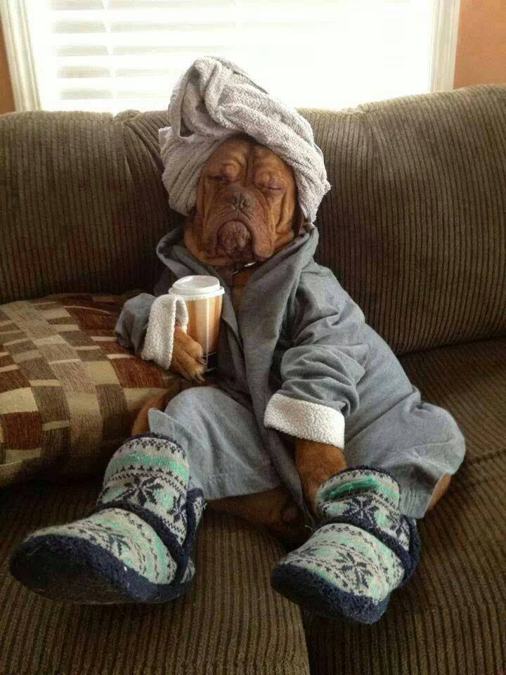 When you get a lousy head cold even with aspirin, hot tea, vitamins, tons of Kleenex and a lot of time in bed isn't this how you feel...?