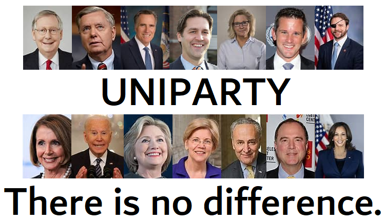 US UNIPARTY-Dems and RINOs
