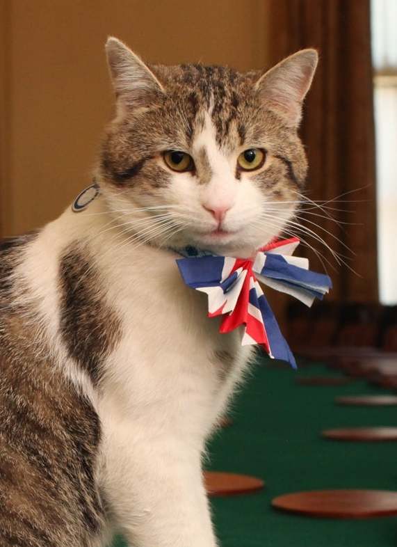 Larry: Chief Mouser to the Cabinet Office Chief Mouser to the Cabinet Office is the title of the official resident cat at 10 Downing Street, the residence and executive office of the prime minister of the United Kingdom in London.
