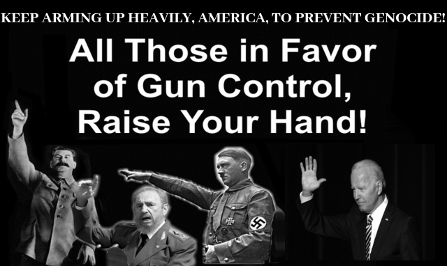All Those in Favor of Gun Control, raise Your Hand!
