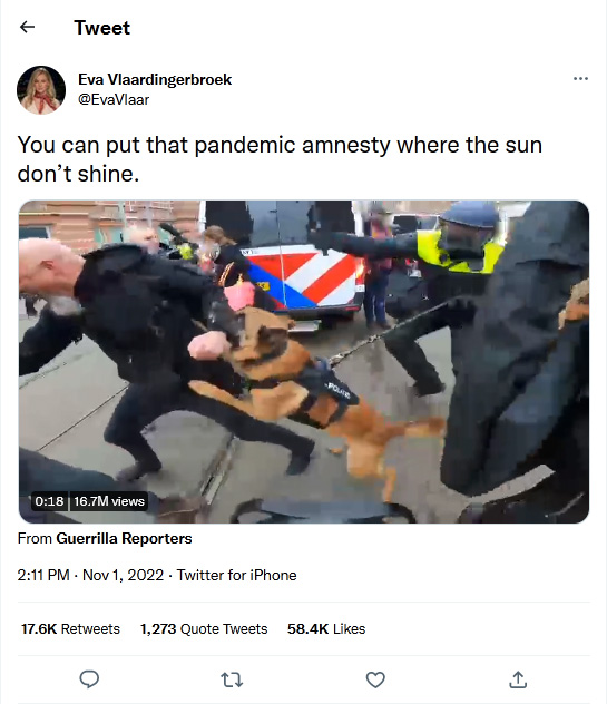 Eva Vlaardingerbroek-tweet-01November2022-You can put that pandemic amnesty where the sun don’t shine