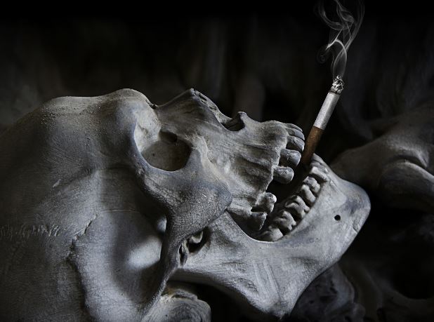 This is Big Tobacco - skull smokes cigarette