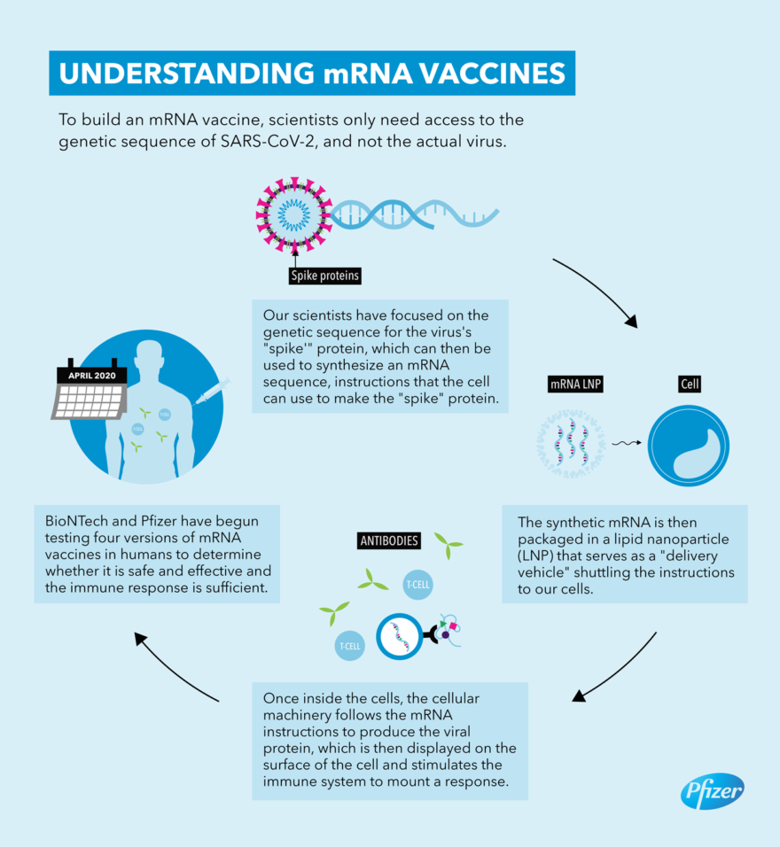 understanding mRNA Vaccines