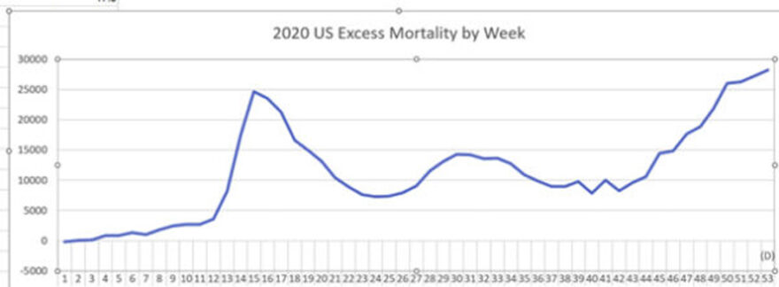 2020 US Excess Mortality by Week