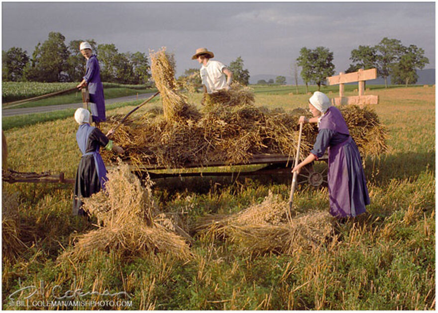 Amish Community: The Caretakers Of The Earth