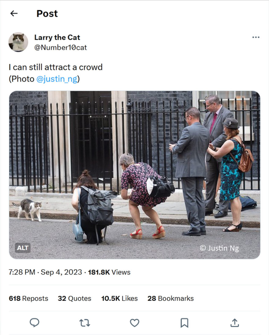 Larry the Cat-tweet-4September2023-I can still attract a crowd