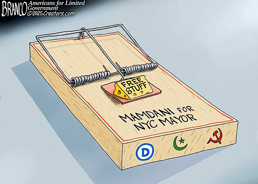 A_F_BRANCO Mamdani for NYC Mayor Free Stuff Mousetrap