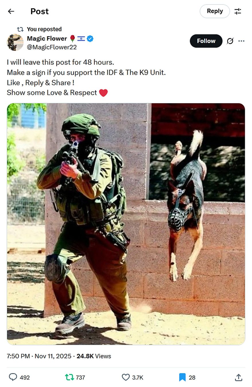 Magic Flower-tweet-11November2025-IDF and the K9 Unit