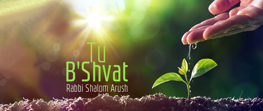 Tu B’Shvat by Rabbi Shalom Arush
