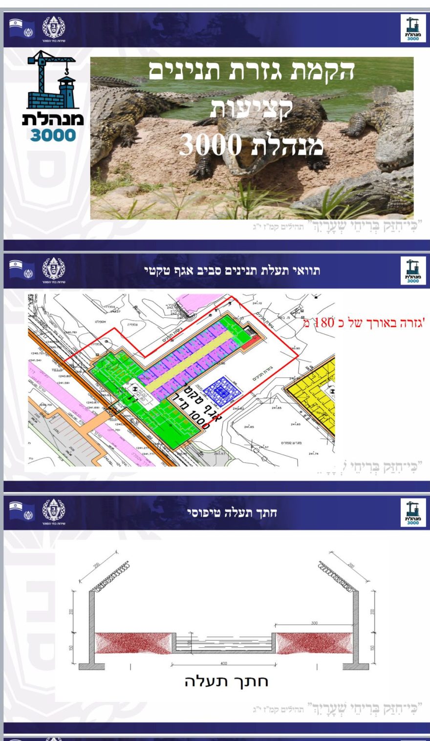 חקמת גזרת תנינים קציעות מנהלת 3000